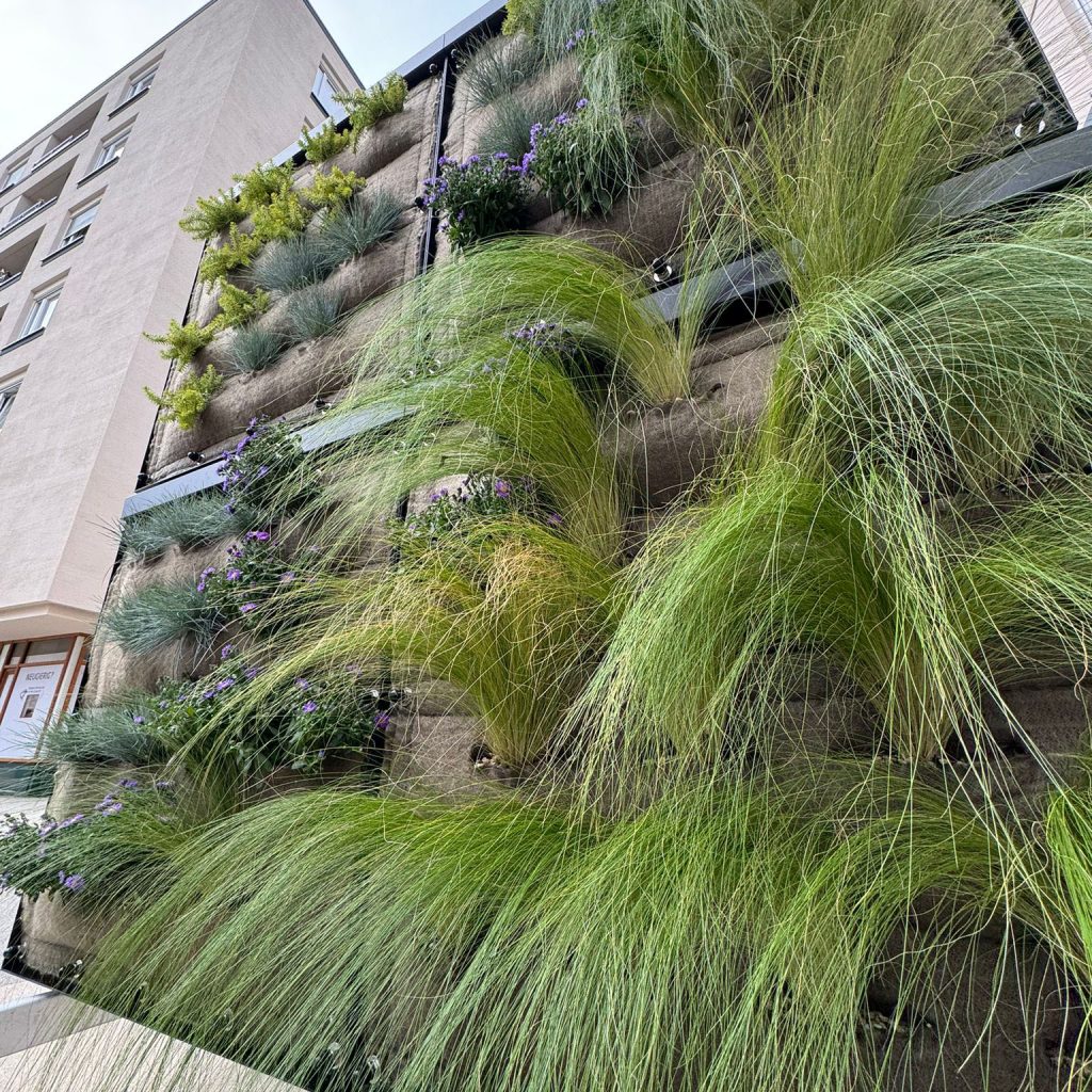 2024-09-14_Foto_Gestell